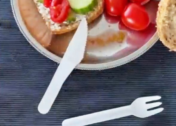 BIO Papierbesteck für Parties und Campingausflüge